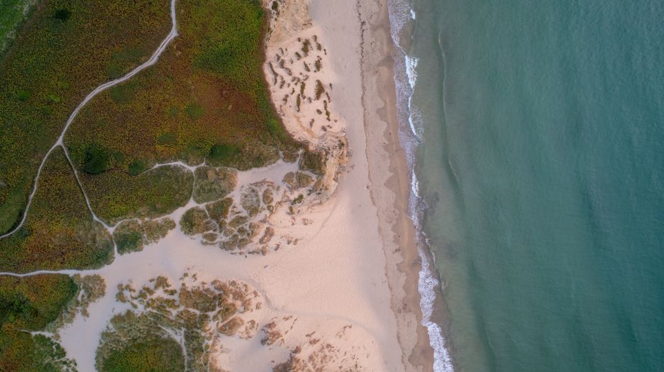 Pale sand and dune paths beside a quiet sea, seen from above